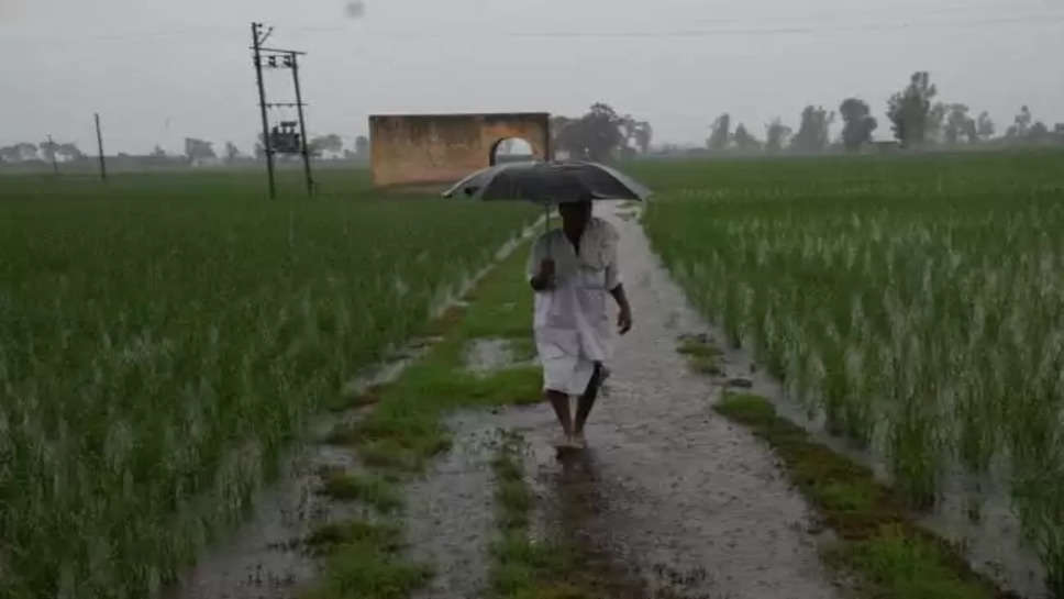 Haryana rain