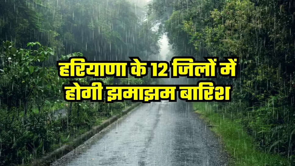 haryanar rainfall alert