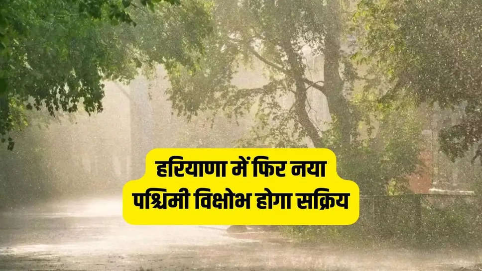 हरियाणा मौसम की जानकारी 