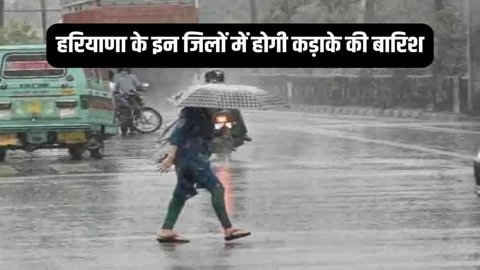 haryana weather news